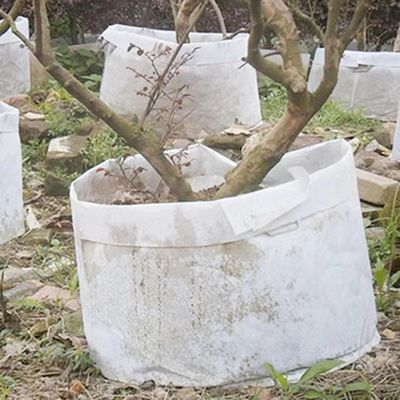 سفارشی سازی پارچه های غیر بافته با فروش داغ کیسه گیاهی قابل تجزیه زیست تخریب پذیر کیسه رشد درخت فلت کیسه بزرگ مهد کودک با دسته